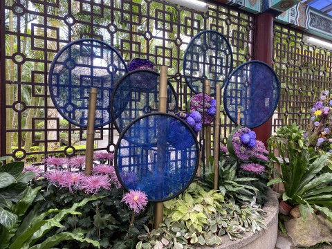 園藝科學生參與2021士林官邸菊展佈展