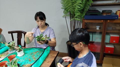 0629假日藝術學校植物之美_240629_41.jpg