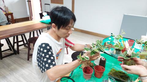 0629假日藝術學校植物之美_240629_44.jpg