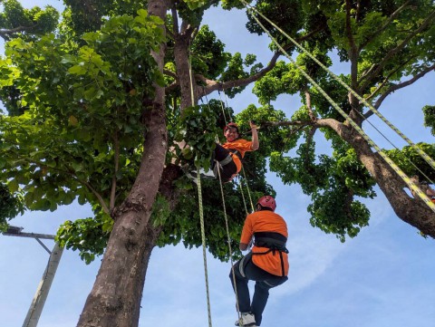 114學年度第一學期攀樹課程
