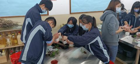 雙溪801_201207_14.jpg