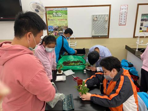 11016平溪國中702農科水苔球_210114_17.jpg